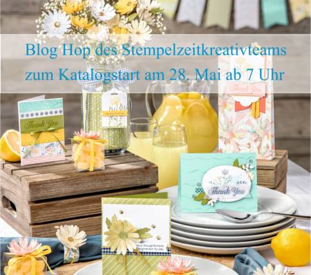 18622557_1180414192069089_8968908644468644091_n